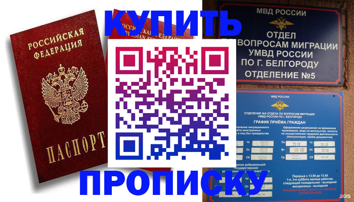 прописка иностранных граждан в ЕАО